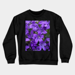 Blue Campanula Flowers (Bellflowers) Crewneck Sweatshirt